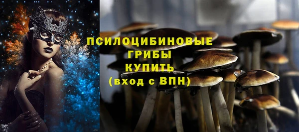 дмт Баксан